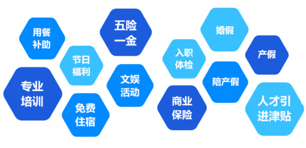 提供全面、系統(tǒng)、專業(yè)的培訓(xùn)和廣闊的<br>職業(yè)發(fā)展空間和提升機(jī)會