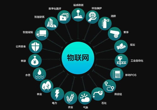 南充科技職業學院網絡系統集成專業 構建數字時代的網絡基石